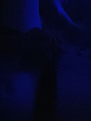 LIVE - 2026-10-03 06:28