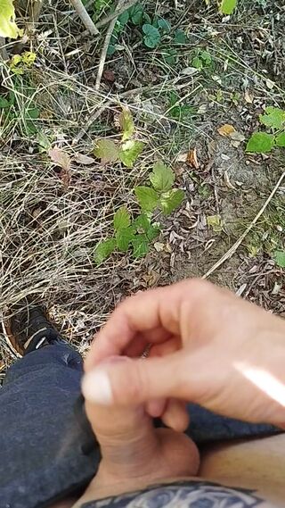 1000012306.mp4