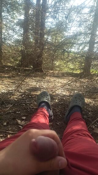 Wale sobie w lesie a tam idzie jakaś pani 