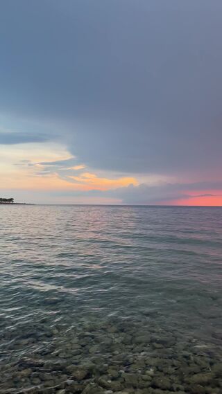 IMG_3527.mov