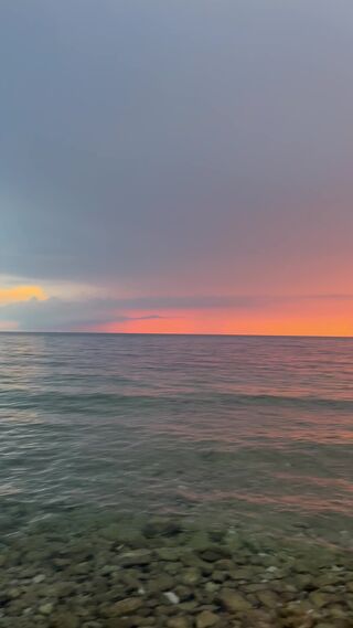 IMG_3527.mov