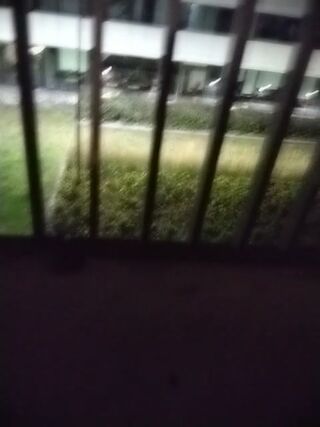 LIVE - 2026-10-11 04:27