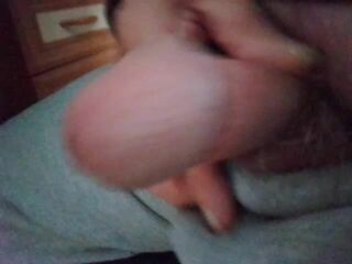 LIVE - 2026-10-11 16:36