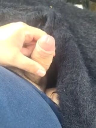 LIVE - 2026-10-12 12:23