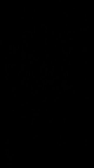 4386.mp4