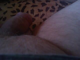 LIVE - 2026-10-13 17:59