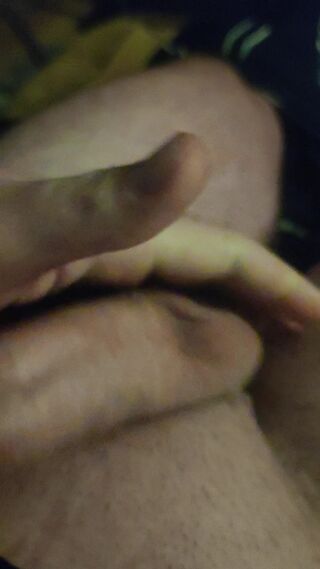 VID_20260926_050312.mp4