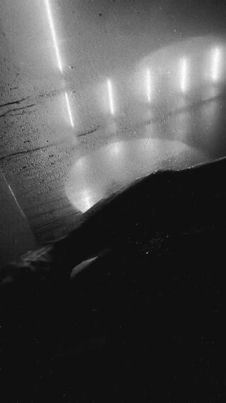 A0C0AE7D-BE44-40B7-8957-4DF43A4F00DD.mov