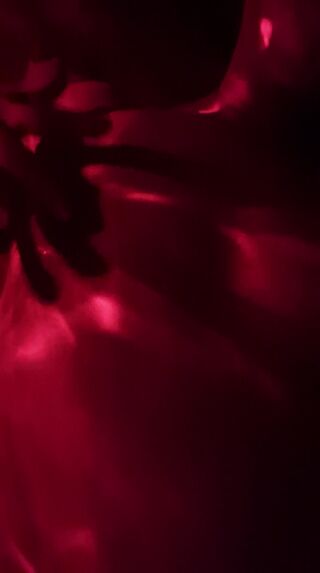 VID-20251122-WA0001.mp4