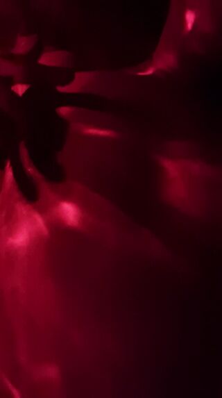VID-20251122-WA0001.mp4