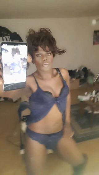 OniJegoTrans