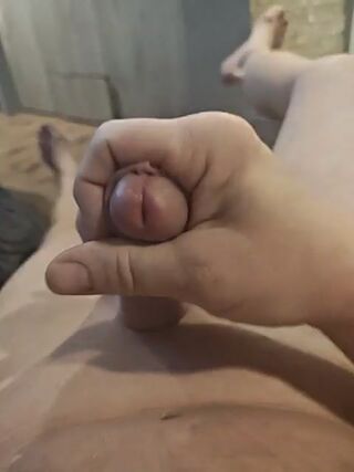 LIVE - 2026-10-26 06:05