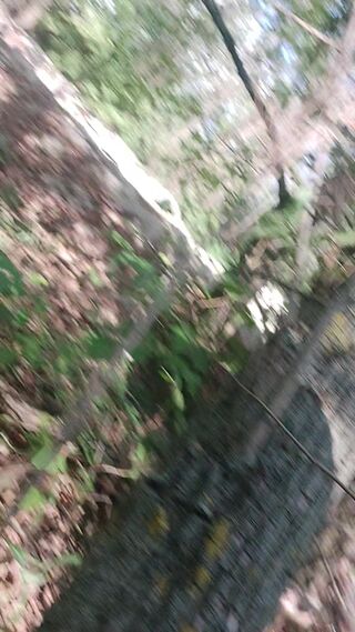 20260825_162325 (2).mp4