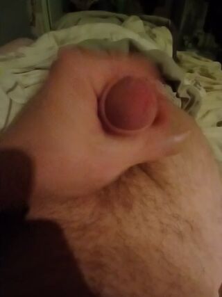 LIVE - 2026-10-30 04:16